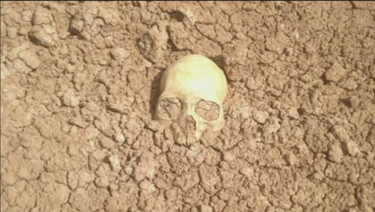 धोरों में नरमुण्ड