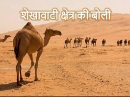 शेखावाटी क्षेत्र की बोली शेखावाटी क्षेत्र की बोली