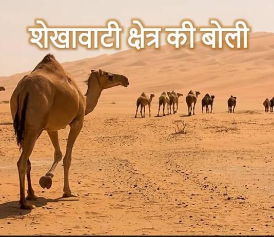 शेखावाटी क्षेत्र की बोली शेखावाटी क्षेत्र की बोली