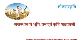 राजस्थान में भूमि वन एवं कृषि शब्दावली राजस्थान में भूमि