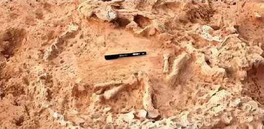 Ostrich in Prehistoric Rajasthan Ostrich in Prehistoric Rajasthan - rajasthanhistory.com