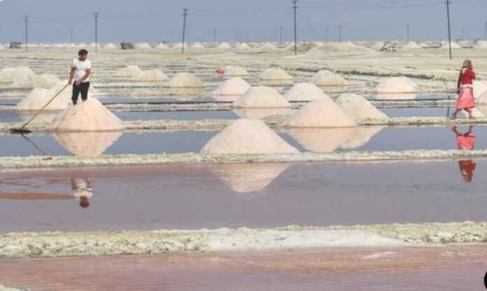 SALT MANAGEMENT IN RAJPUTANA - www.rajasthanhistory.com