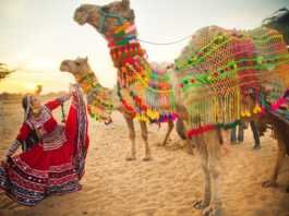 राजस्थानी भाषा राजस्थानी भाषा - www.rajasthanhistory.com