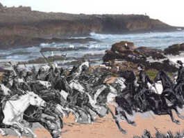 वैर दुर्ग वैर दुर्ग - www.rajasthanhistory.com