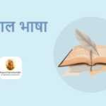 डिंगल भाषा: योद्धाओं में उत्साह भरने वाले गीतों की जननी डिंगल भाषा - www.rajasthanhistory.com
